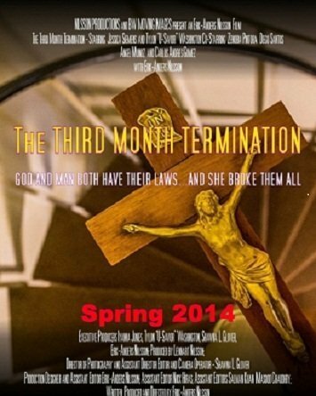 The Third Month Termination (2014)