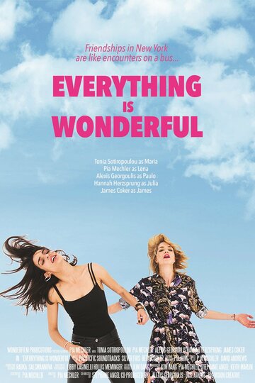 Everything Is Wonderful (2017)