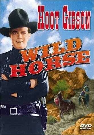 Wild Horse (1931)