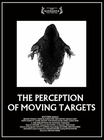 The Perception of Moving Targets (2012)